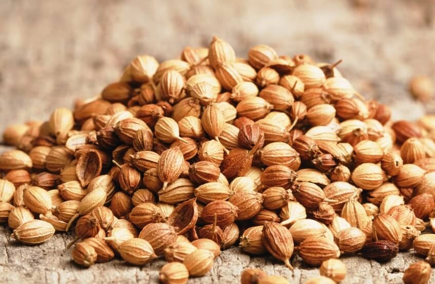 تخم گشنیز کیفیت عالی درجه یک